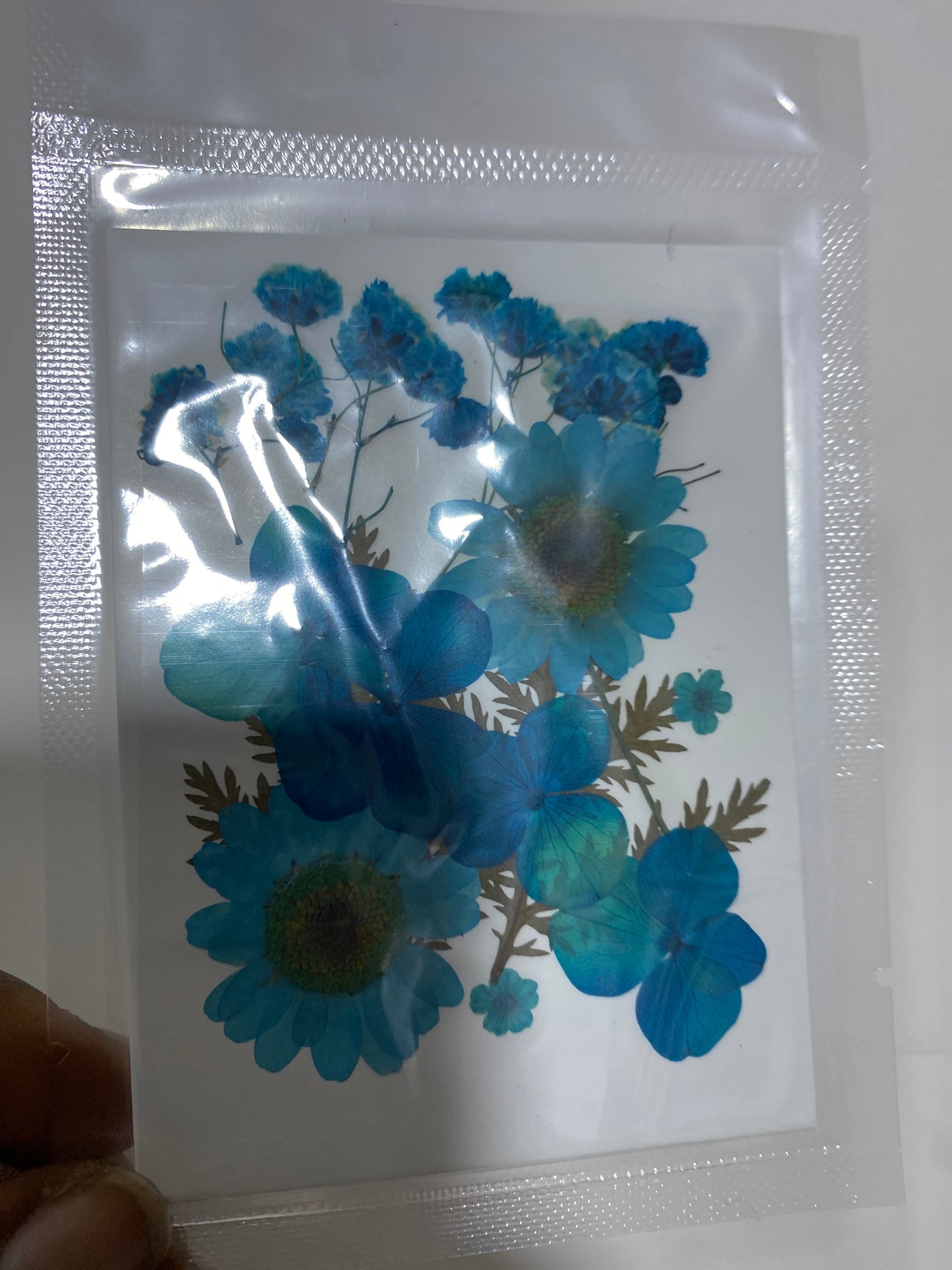 Pressed Flowers (1 Pack)