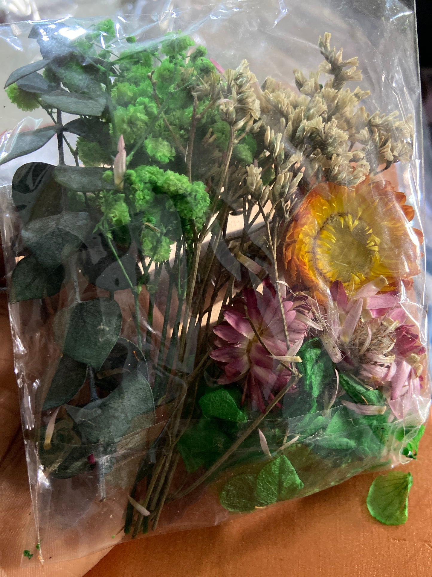 Dried Flower |||