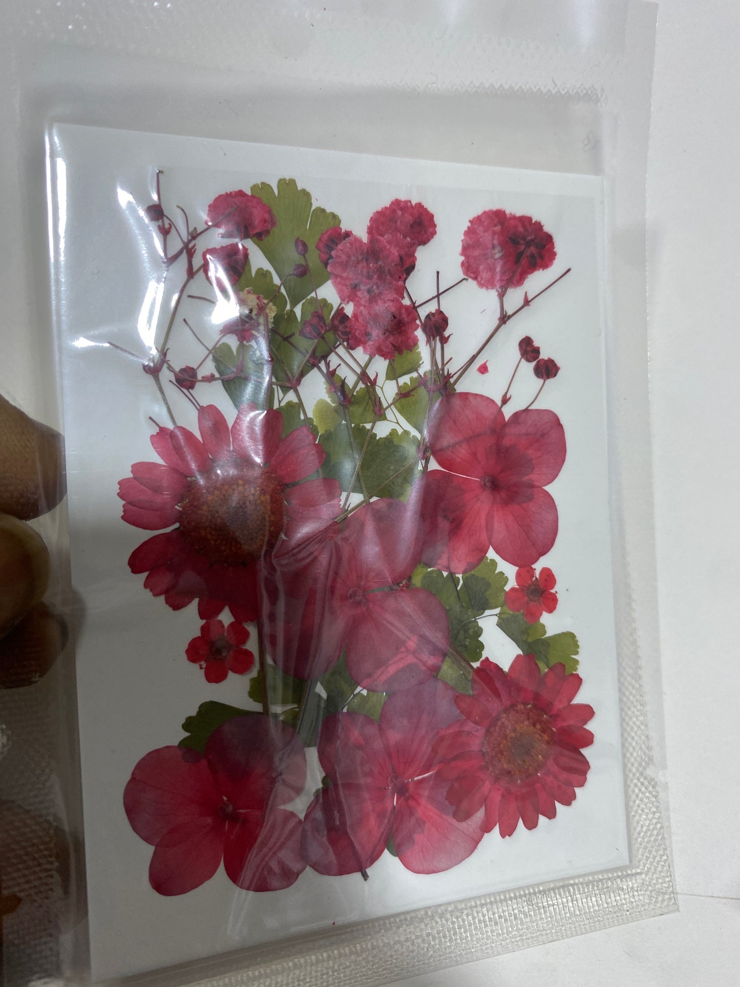 Pressed Flowers (1 Pack)
