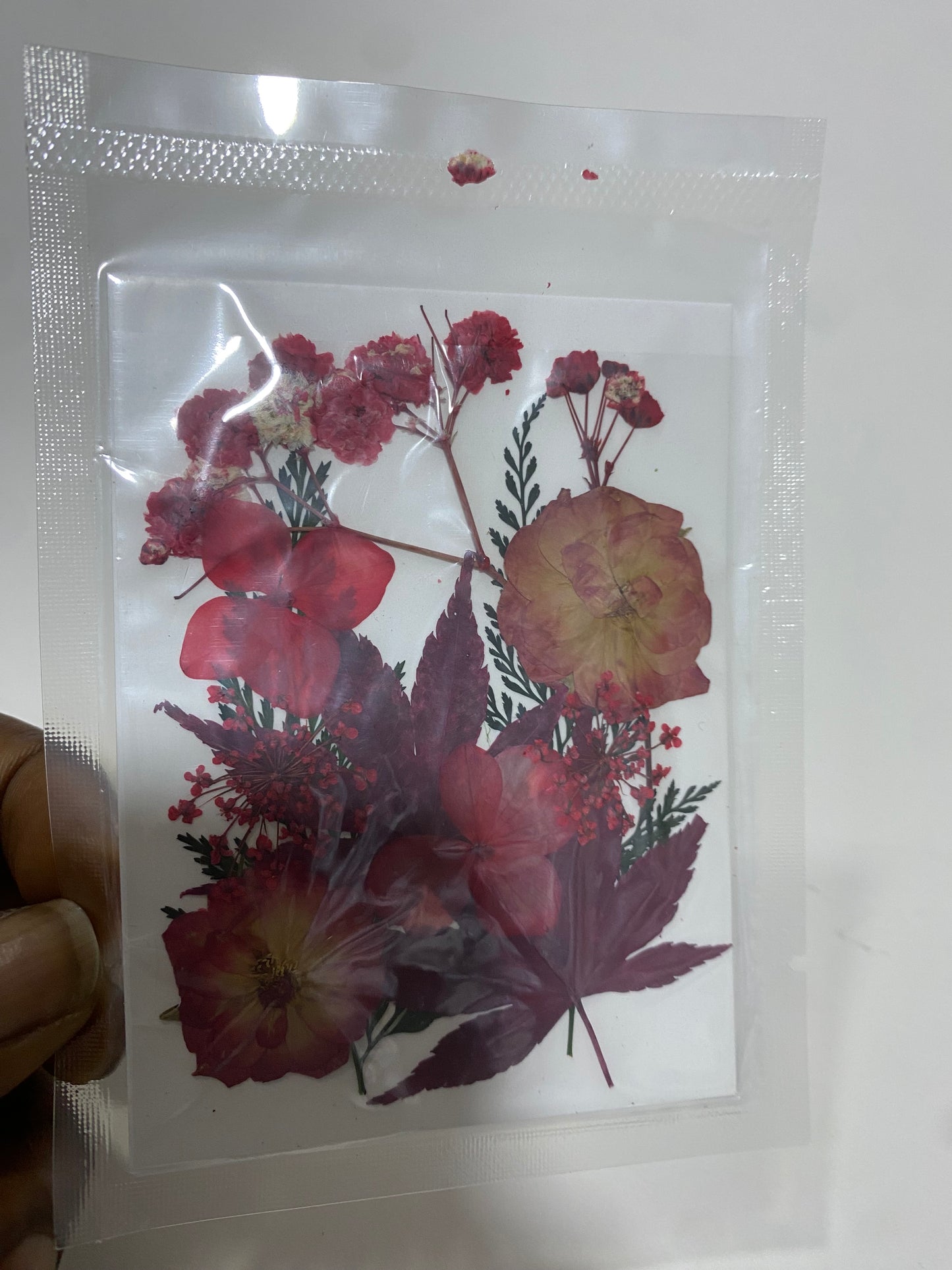 Pressed Flowers (1 Pack)