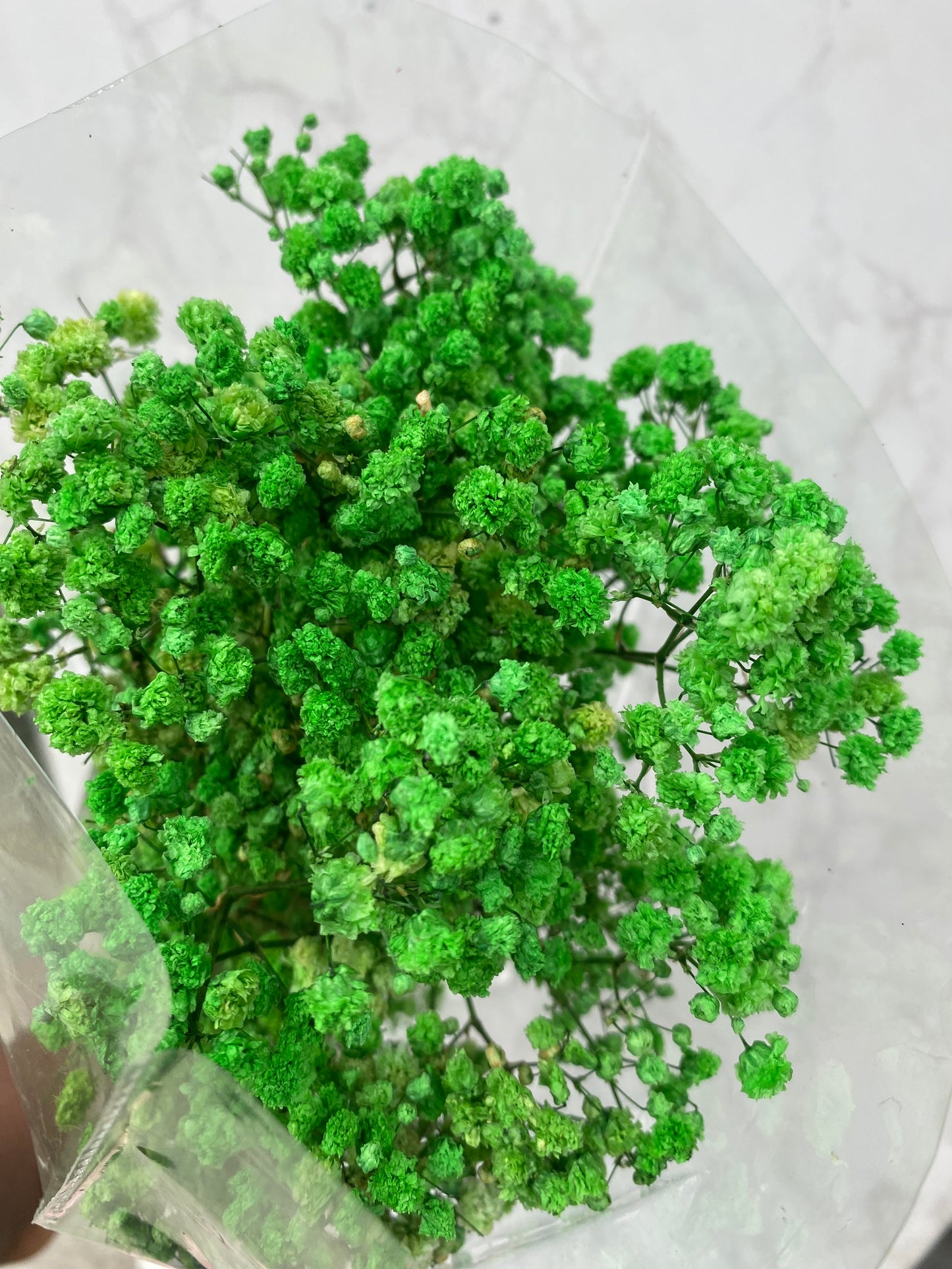 Dried (Baby’s Breath) Flower