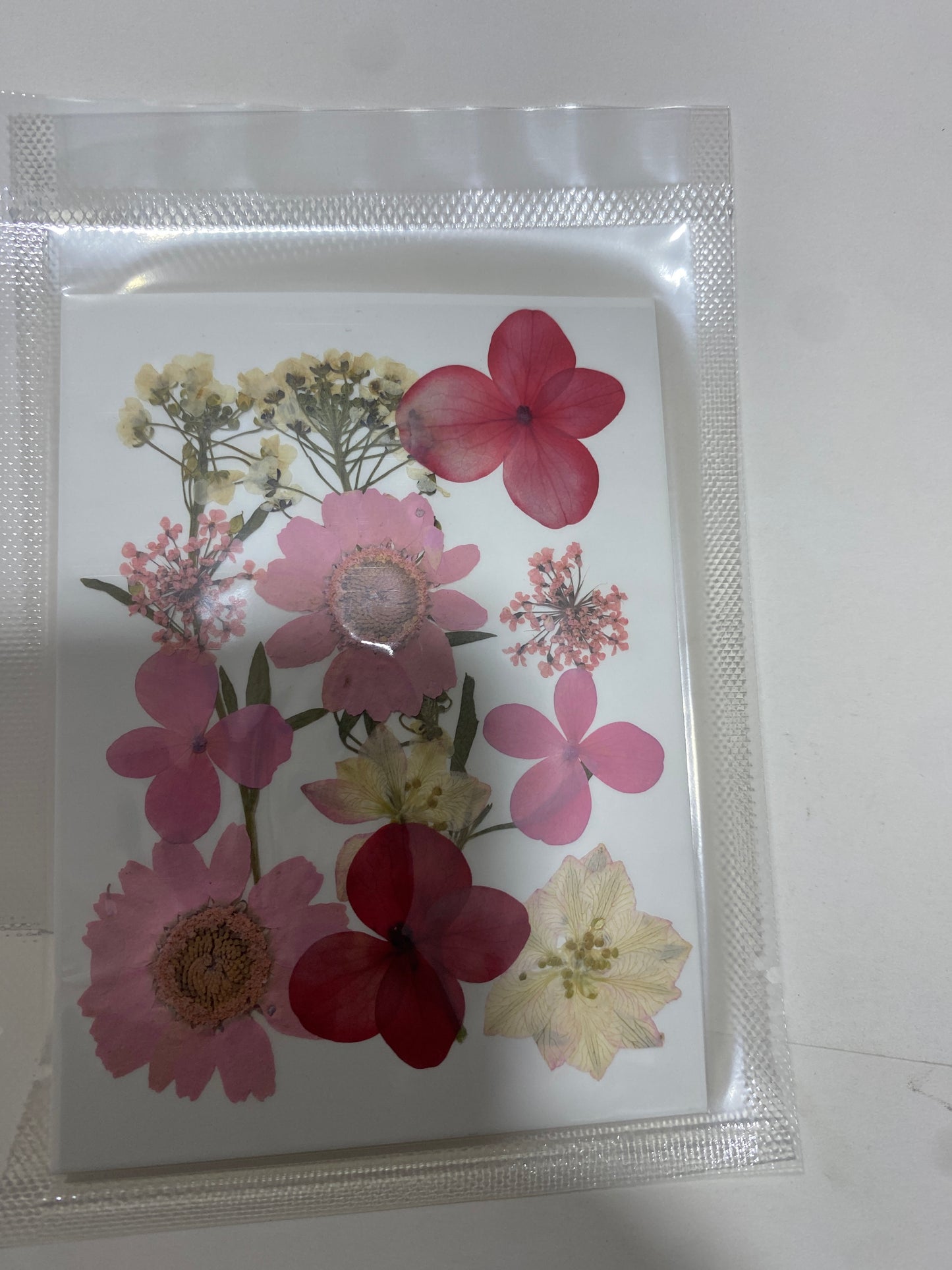 Pressed Flowers (1 Pack)