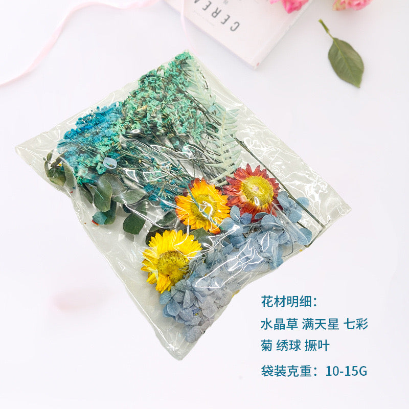 Dried Flower |||