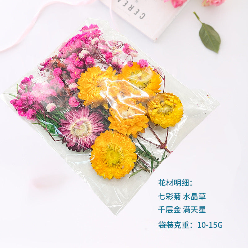 Dried Flower |||