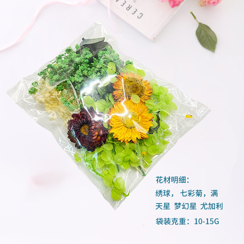 Dried Flower |||