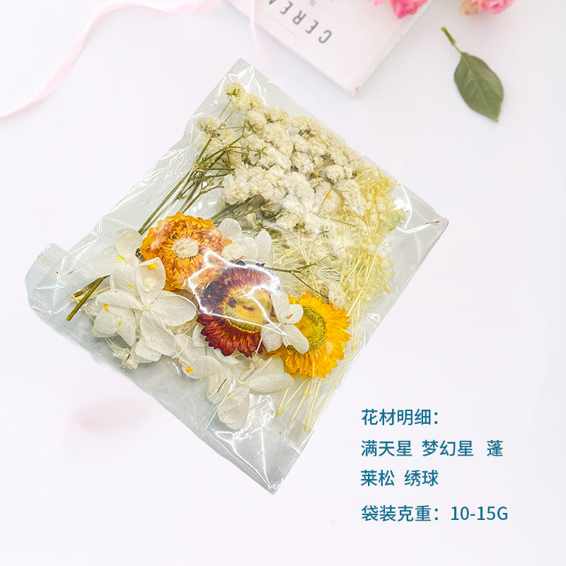 Dried Flower |||