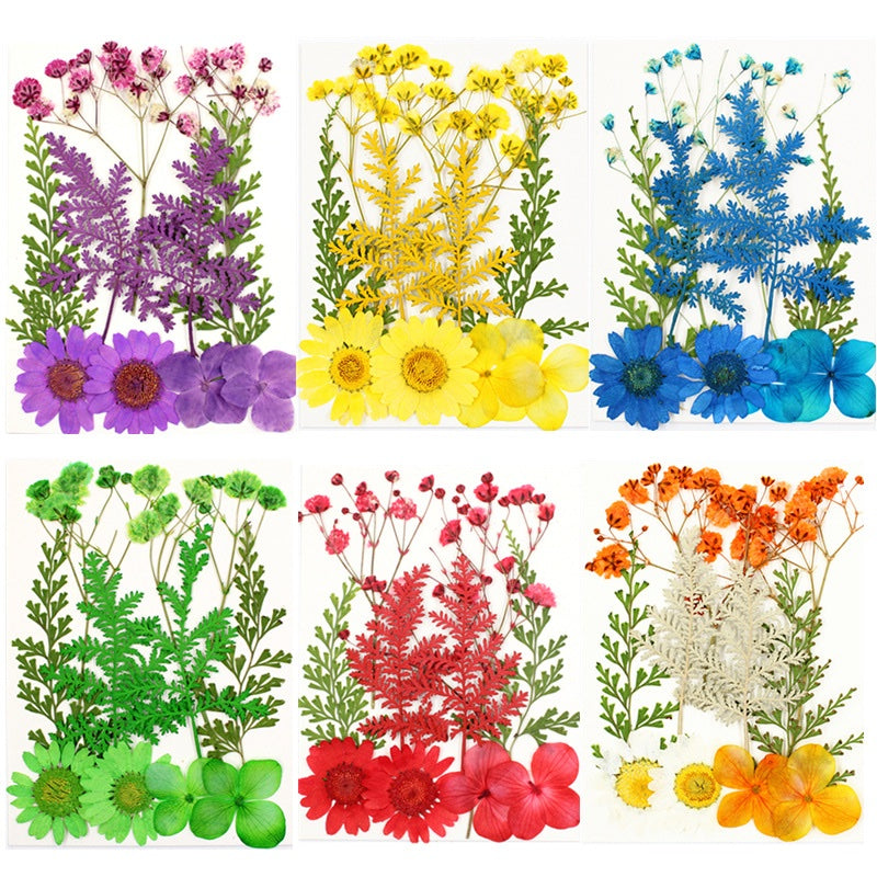 Pressed Flowers (1 Pack)