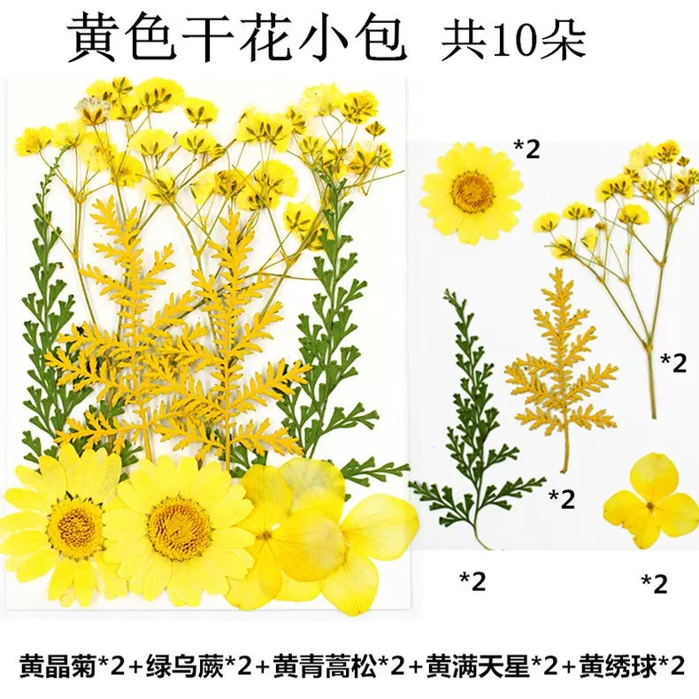 Pressed Flowers (1 Pack)