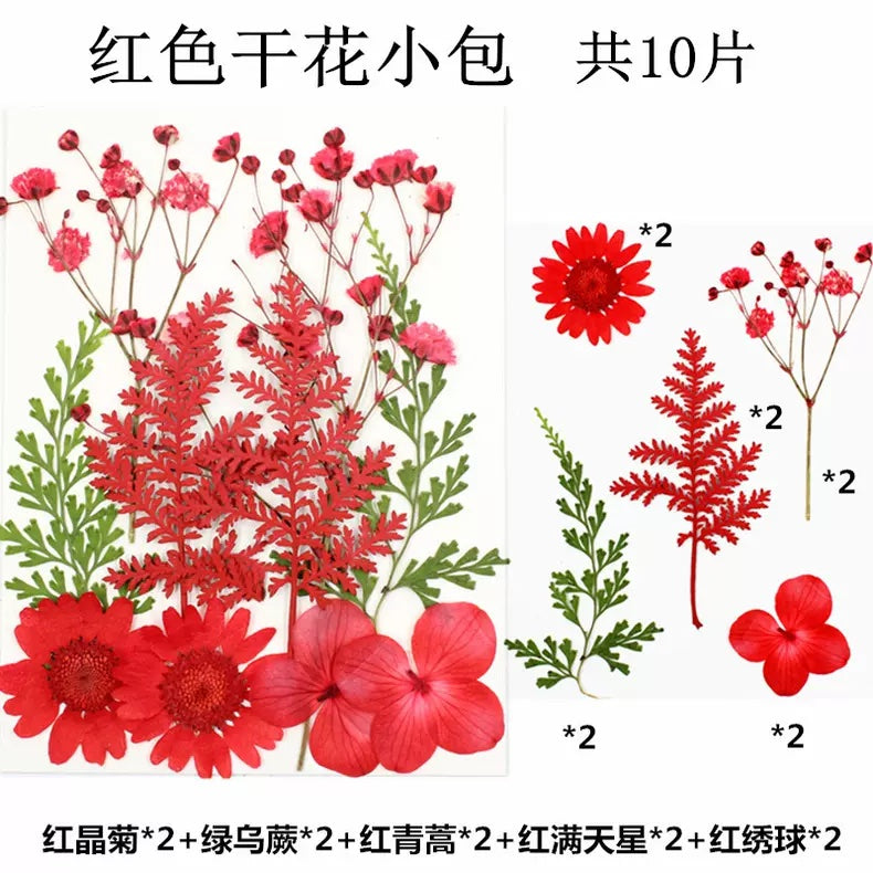 Pressed Flowers (1 Pack)