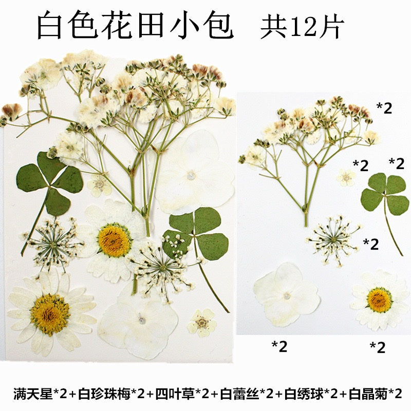 Pressed Flowers (1 Pack)