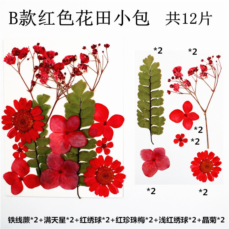 Pressed Flowers (1 Pack)