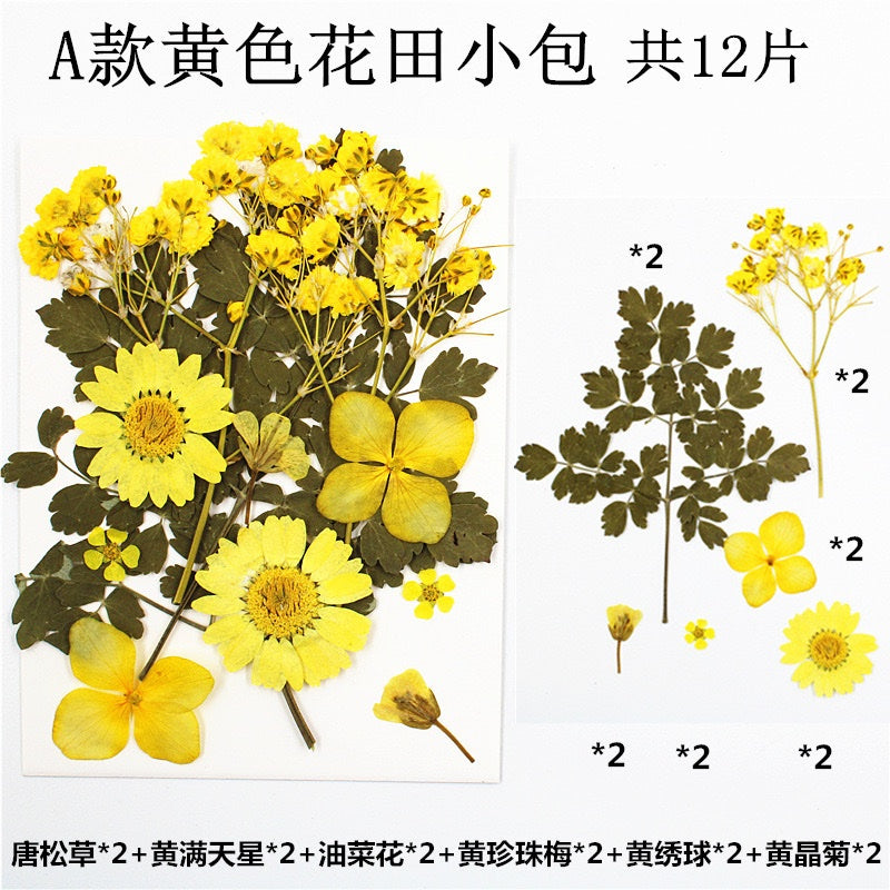 Pressed Flowers (1 Pack)