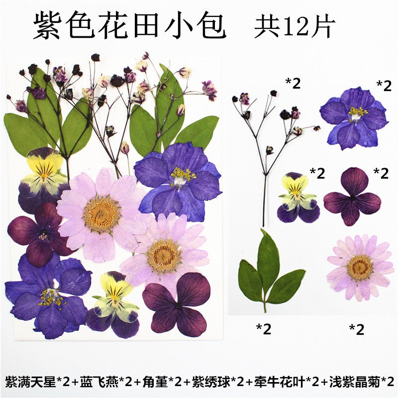 Pressed Flowers (1 Pack)