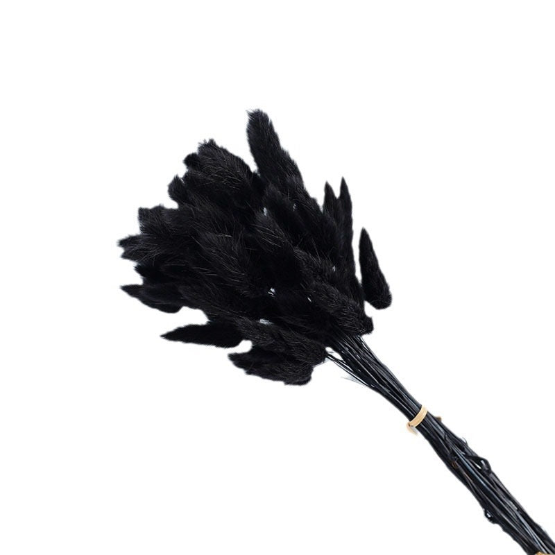 Dried (BunnyTail) Flower