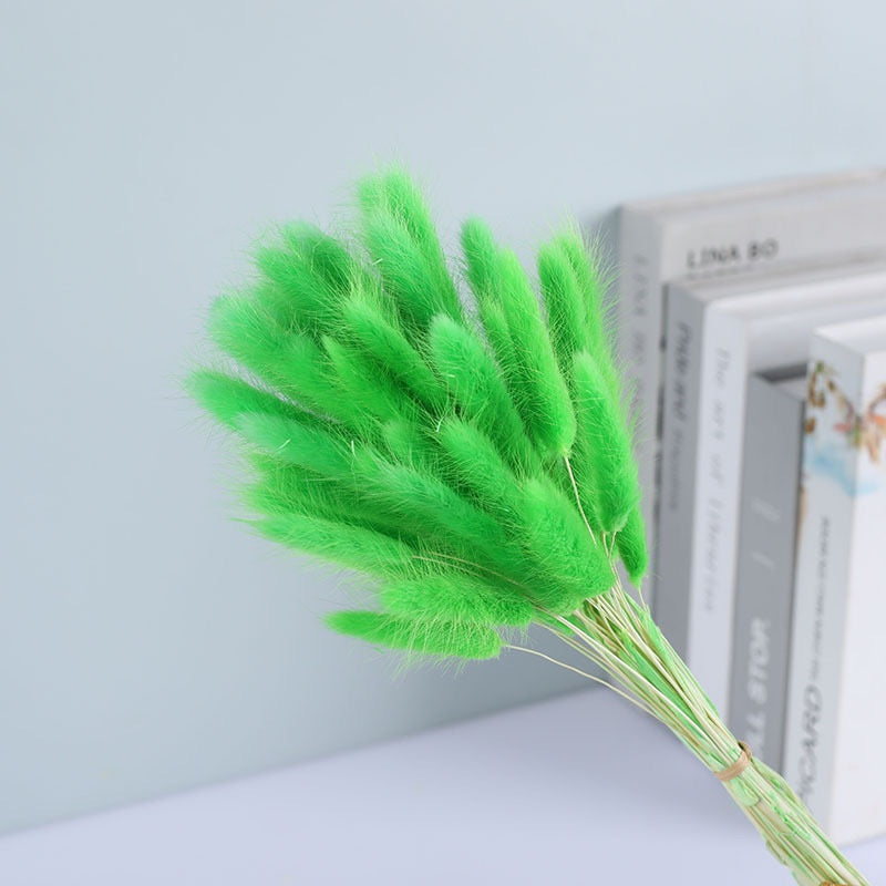 Dried (BunnyTail) Flower