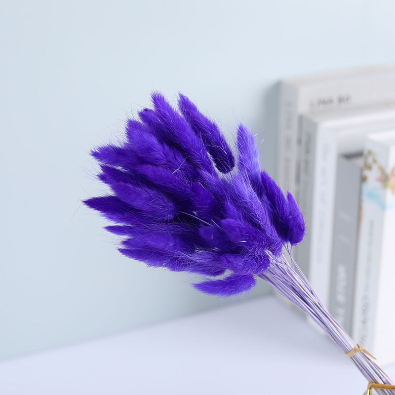 Dried (BunnyTail) Flower