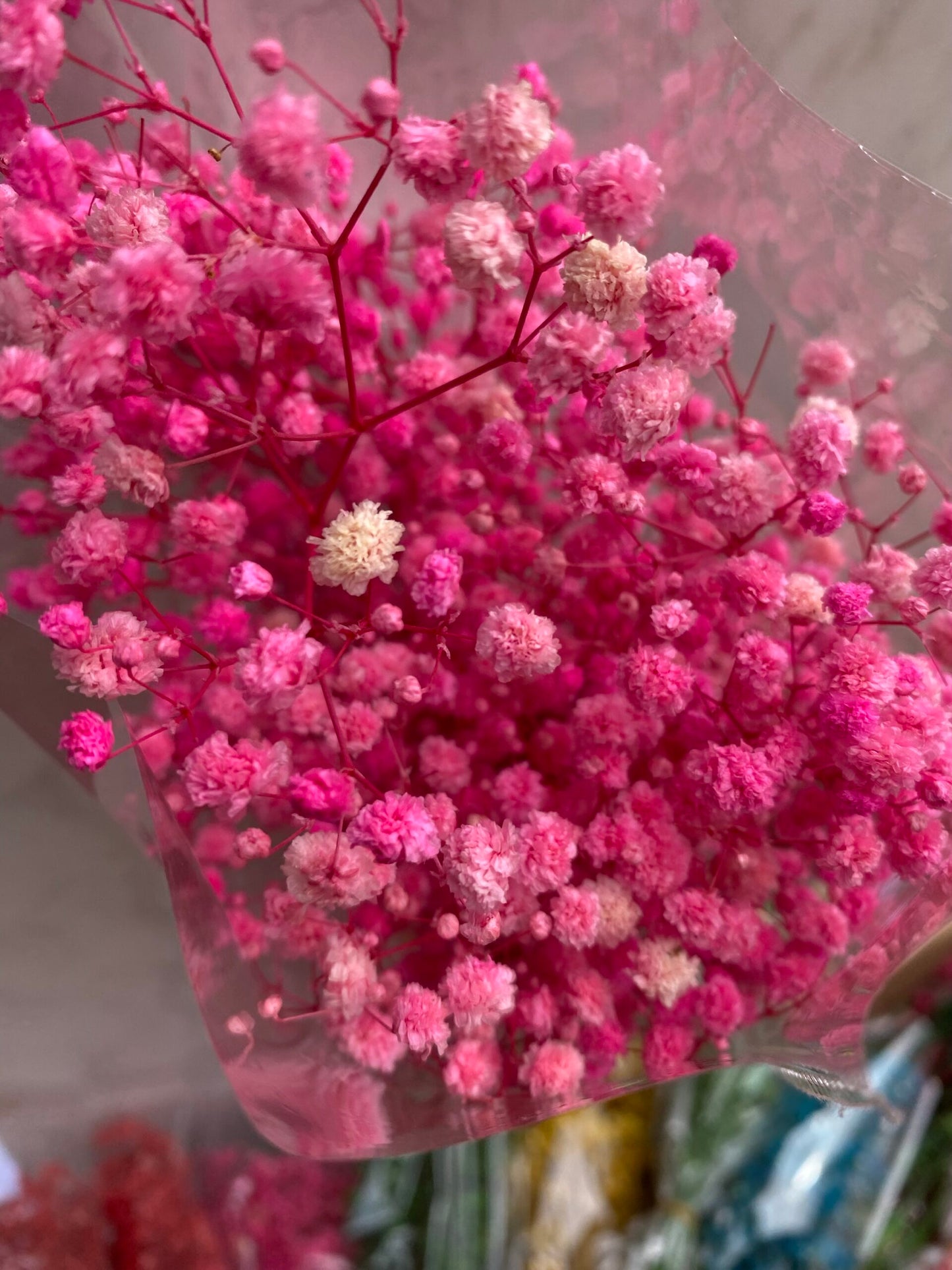 Dried (Baby’s Breath) Flower