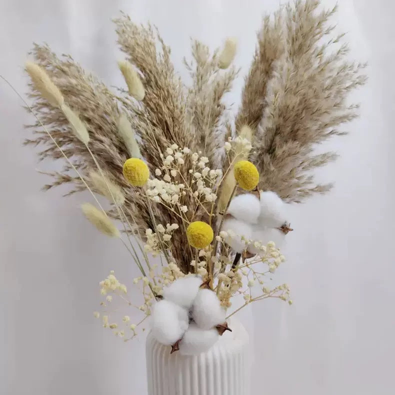 Dried Plants ( Dried Flowers)
