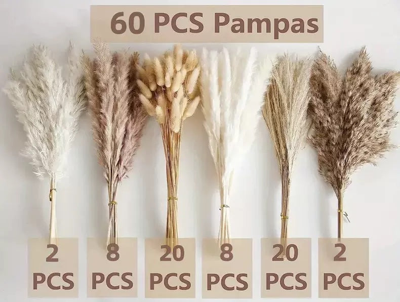 Dried Plants ( Dried Flowers)