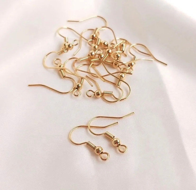 Earring Hooks (10 pairs)