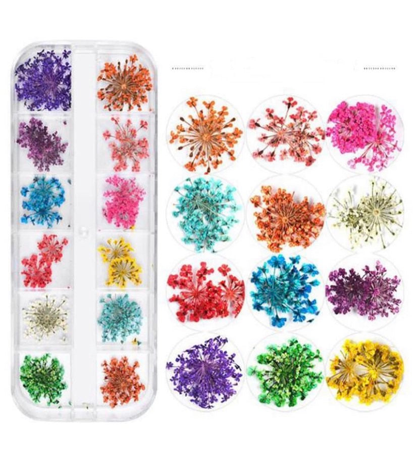Pressed Flowers (12pcs)