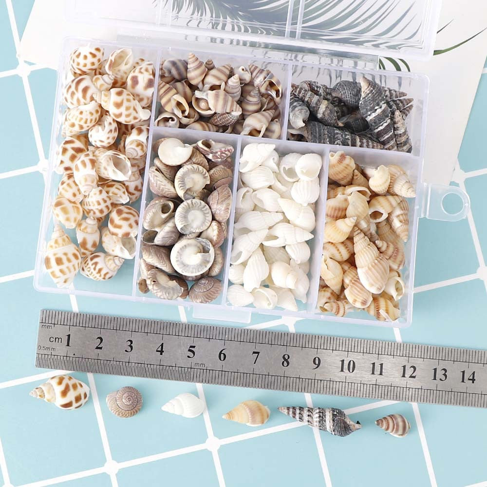 Mixed Sea Shells