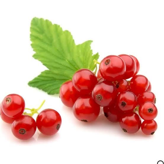 Fragrance Oil