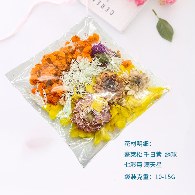 Dried Flower |||