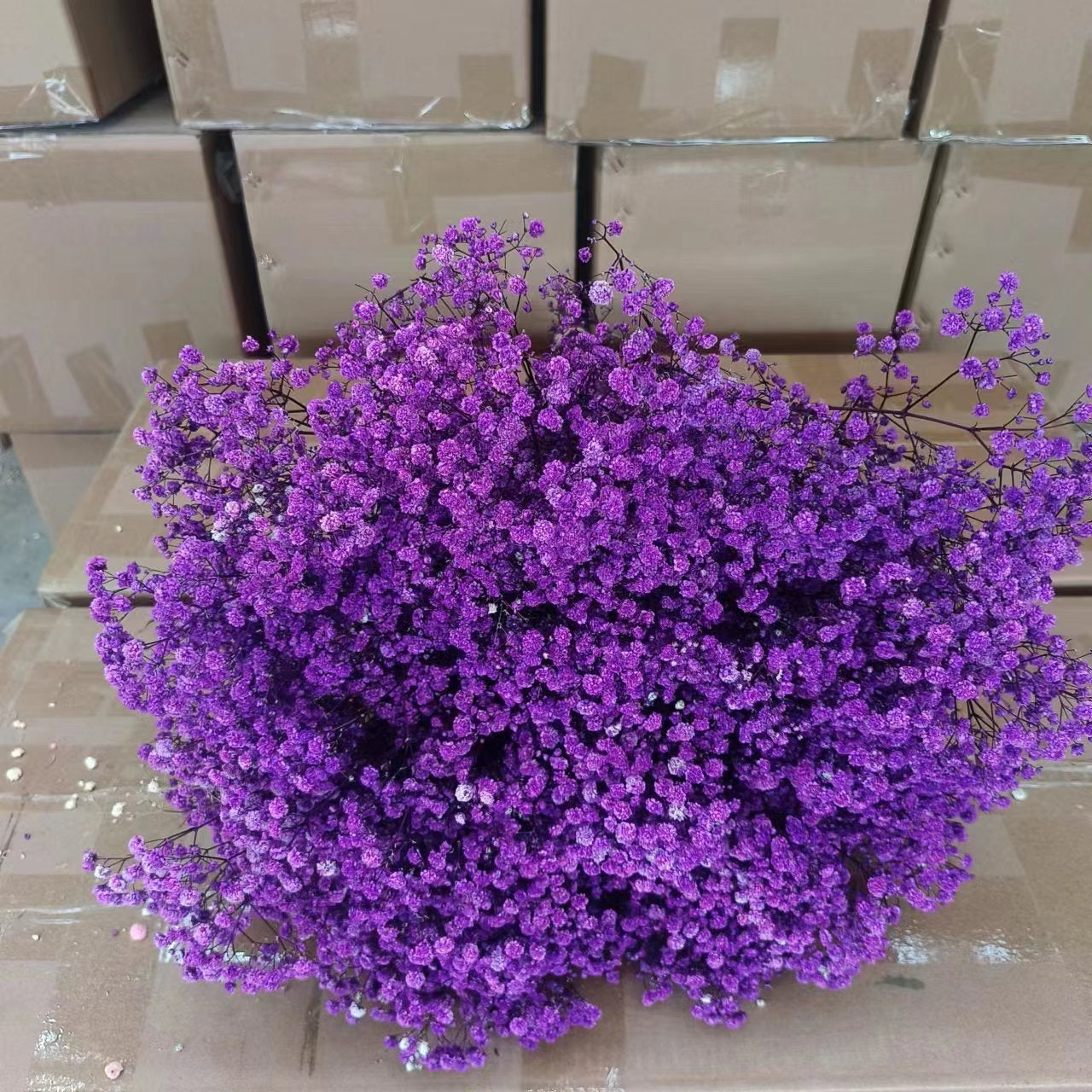 Dried (Baby’s Breath) Flower