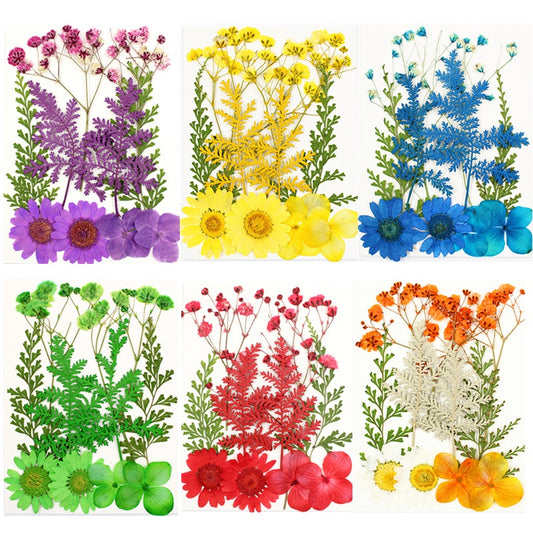Pressed Flowers (1 Pack)