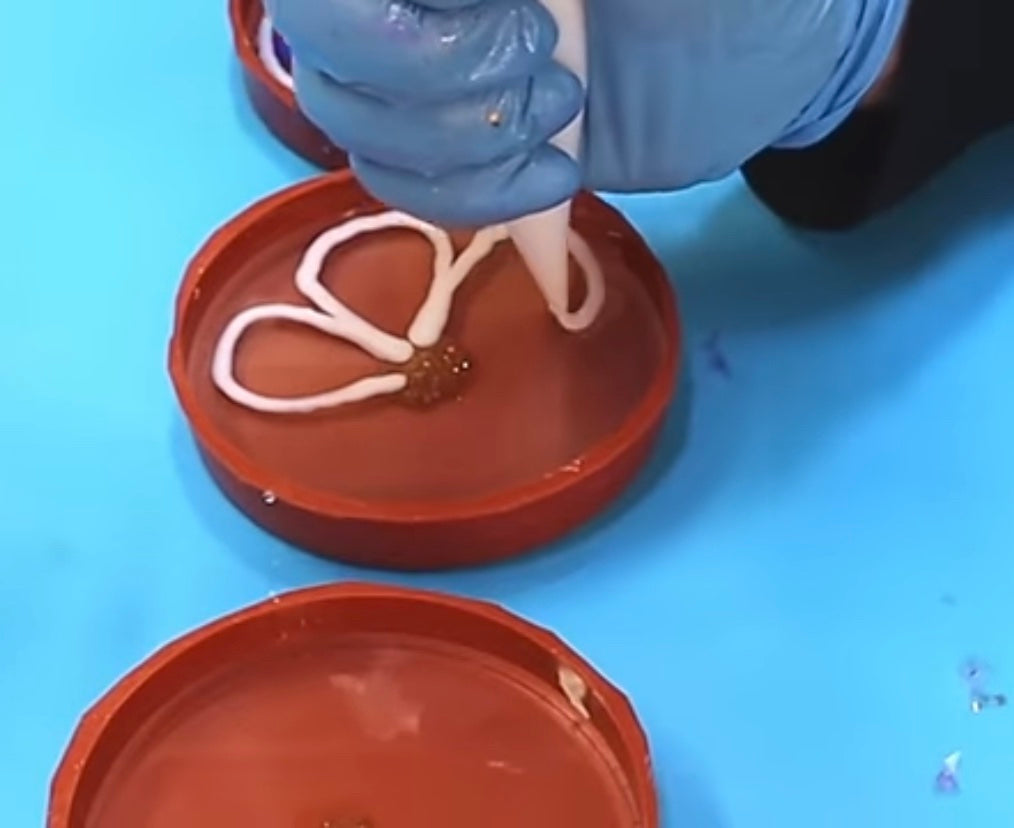 Resin Piping Bag (10pcs)