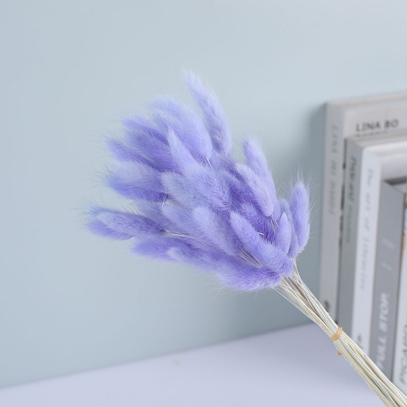 Dried (BunnyTail) Flower