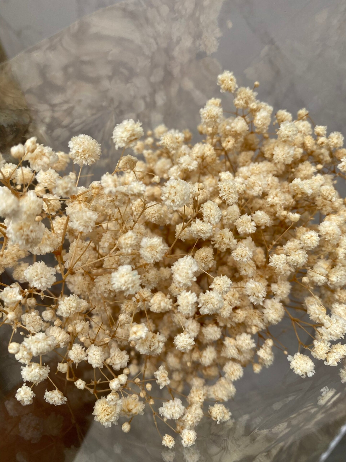 Dried (Baby’s Breath) Flower