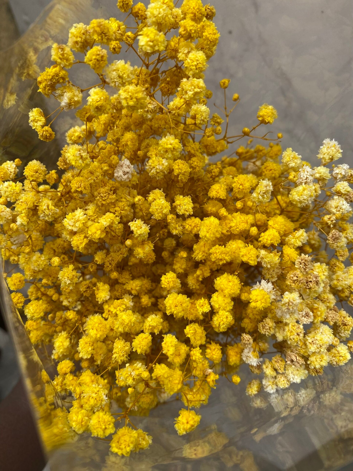 Dried (Baby’s Breath) Flower