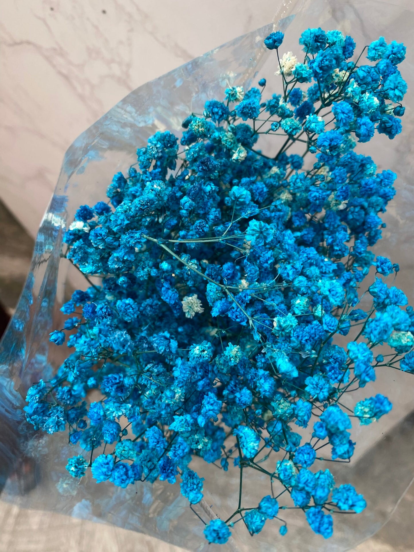 Dried (Baby’s Breath) Flower
