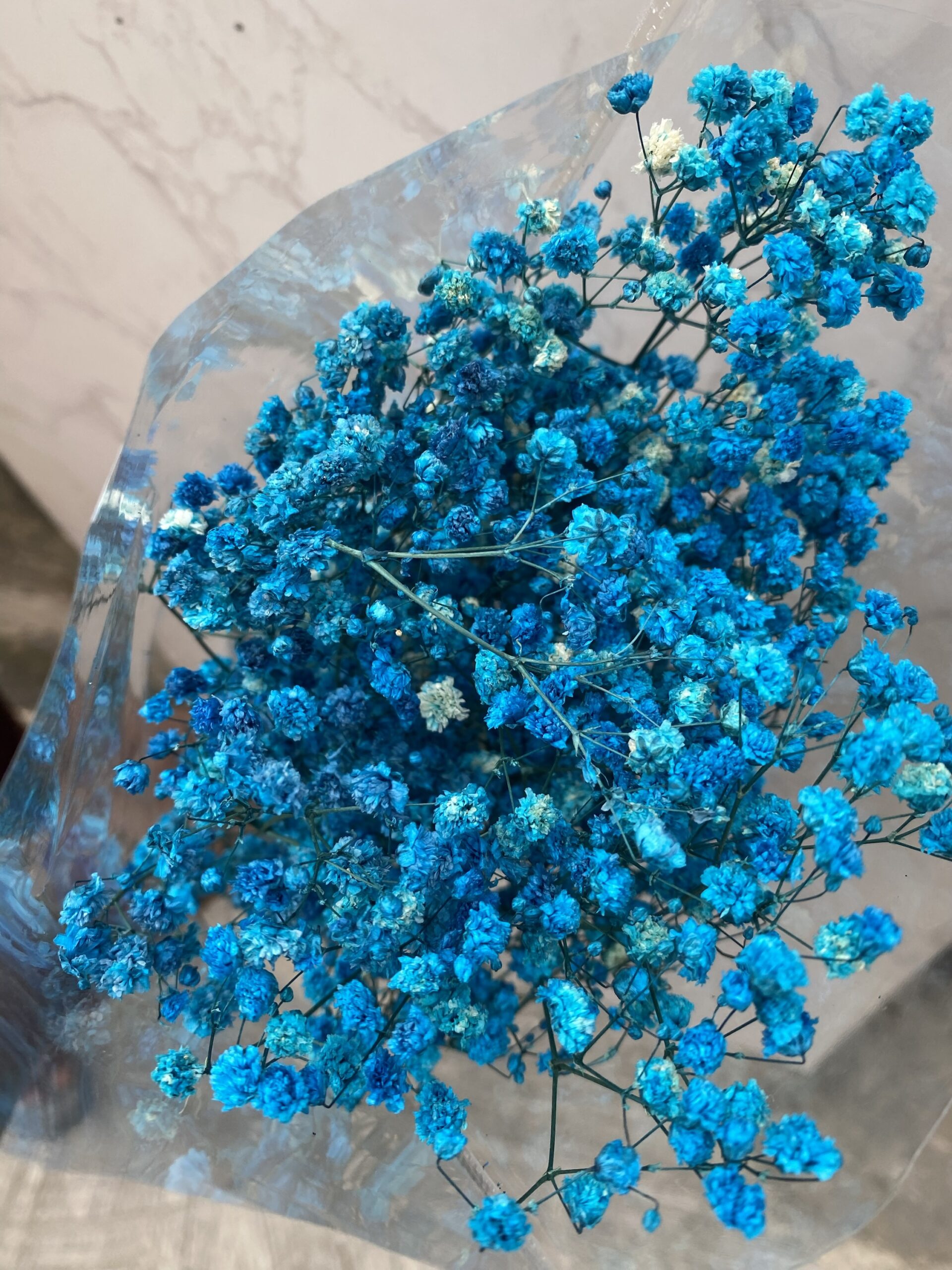 Dried (Baby’s Breath) Flower