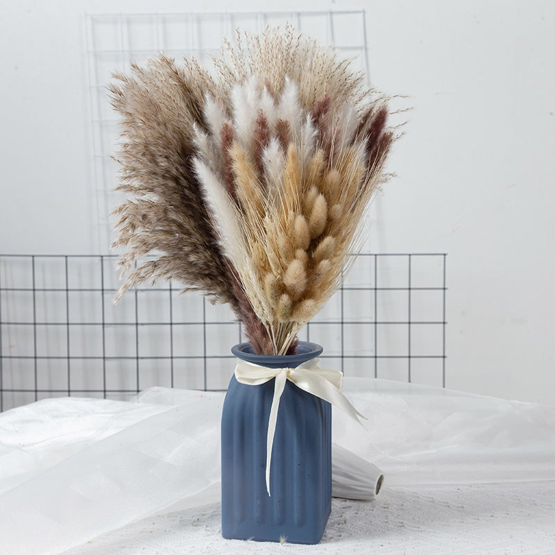Dried Plants ( Dried Flowers)