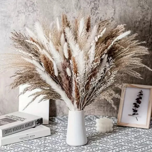 Dried Plants ( Dried Flowers)