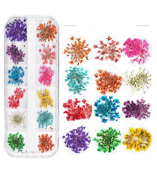 Pressed Flowers (12pcs)