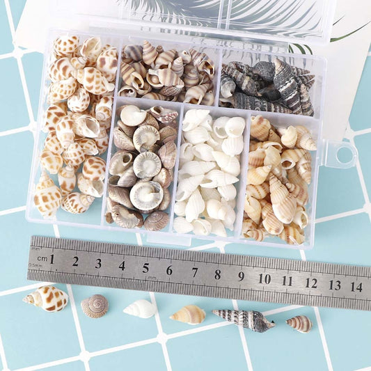 Mixed Sea Shells